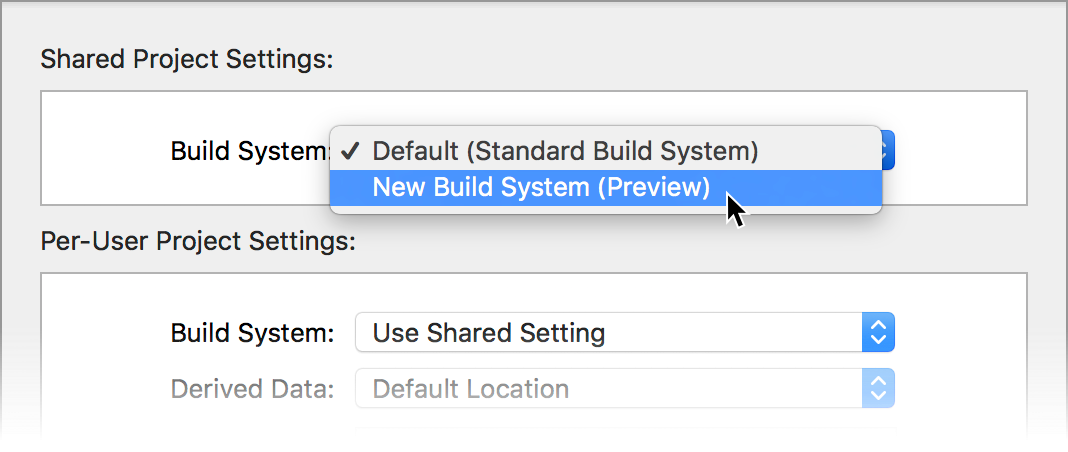 Project settings sheet with popup menu to select build system